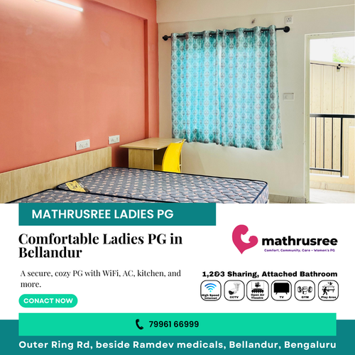 Need a comfortable ladies PG near Bellandur?.png