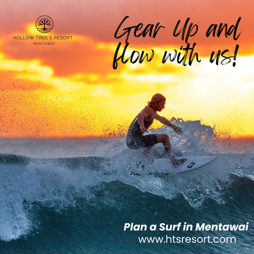 Surf Mentawai.png