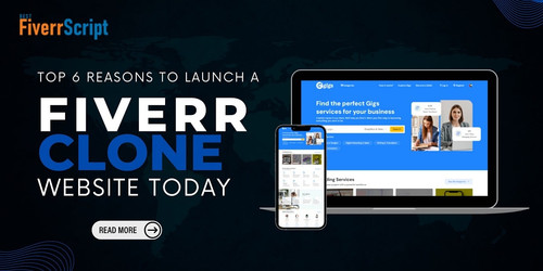 top 6 reasons to launch a fiverr clone website today.jpg