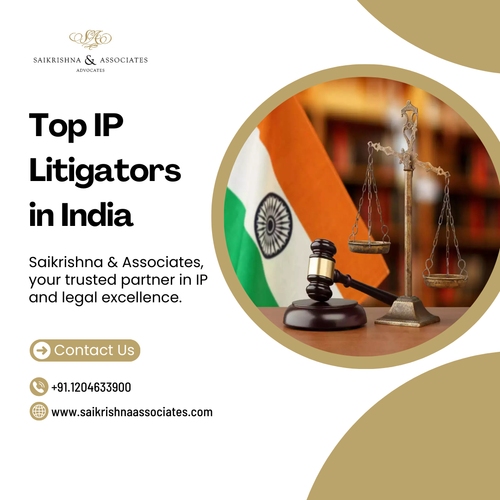 Top IP Litigators in India: Experts in Protecting Your Intellectual Property.png