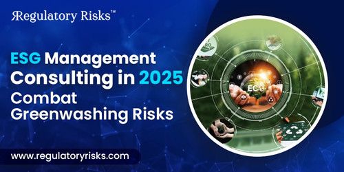 ESG Management Consulting in 2025: Combat Greenwashing Risks.jpg
