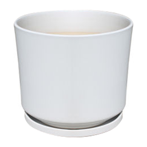 0007810 cylinder pots wsaucers.jpg