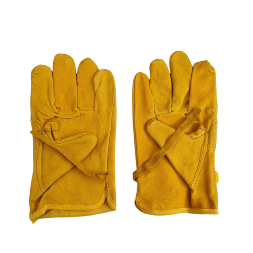 ARGONERO CERDO (1).png