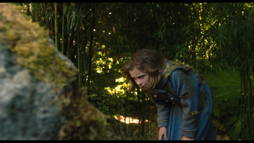 vlcsnap 2025 01 15 06h28m04s108.png