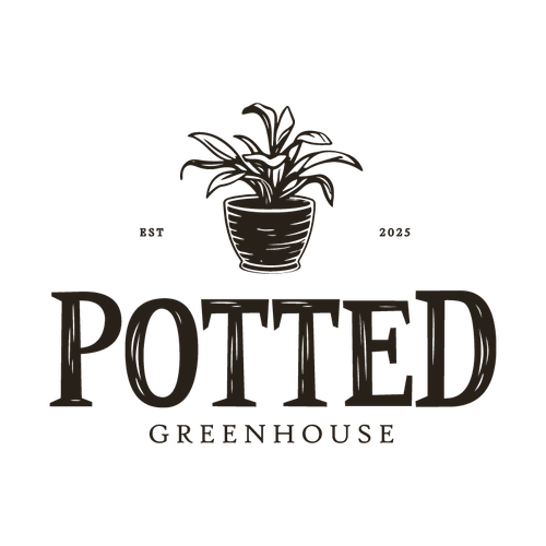 1 1 logo dark transparent.png