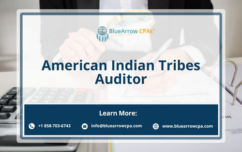 American Indian Tribes Auditor.jpg