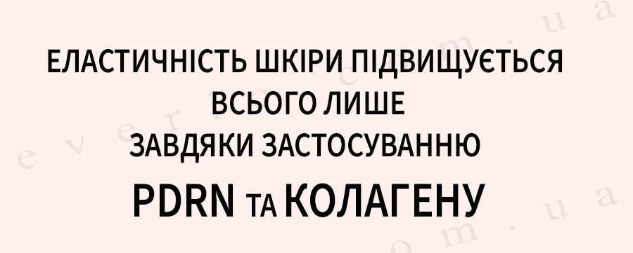3 копия