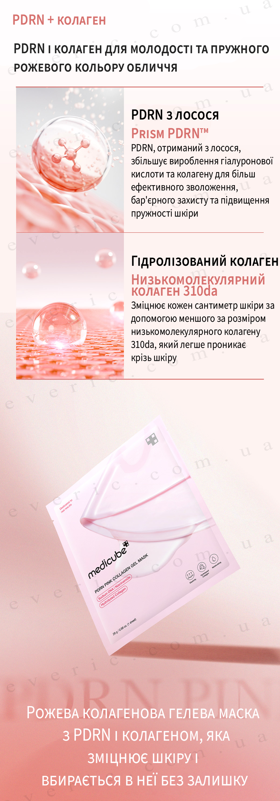6 копия