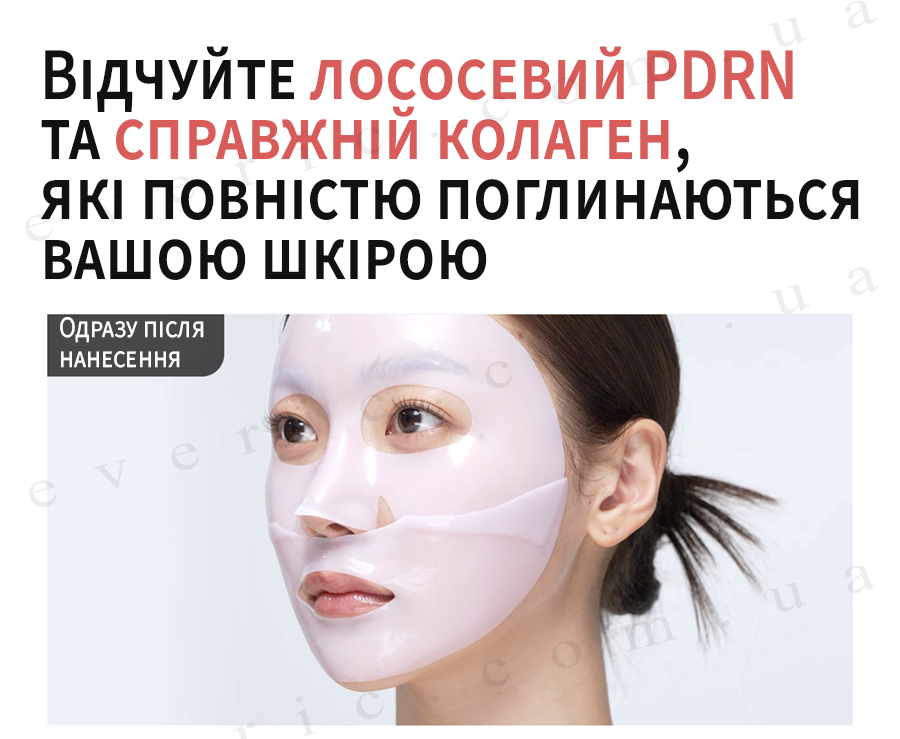 19 копия