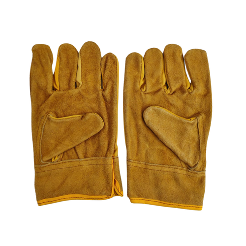 dorso piel palma carnaza (1).png