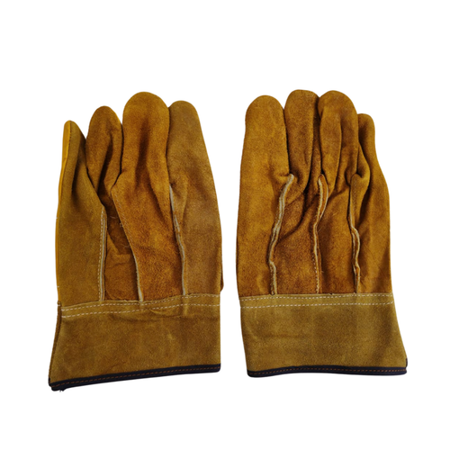 dorso carnaza palma piel.png