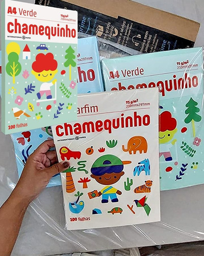 Chamequinho Papel A4.jpg