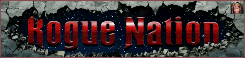 FlyBy Banner.gif