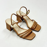 WhatsApp Image 2025 01 14 at 16.22.24