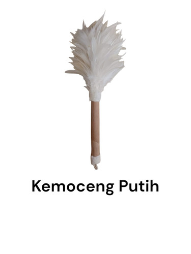 Kemoceng Putih.jpg