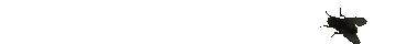 0861C83D D219 4A3B A595 8F49876EC013 2 2.gif