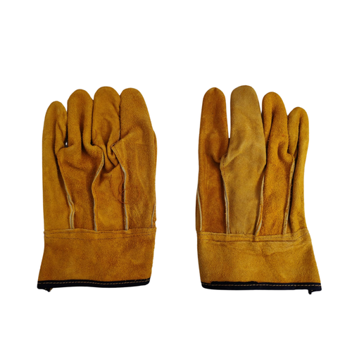 carnaza primera corto.png