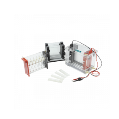 Gel Electrophoresis LT-GE401.png