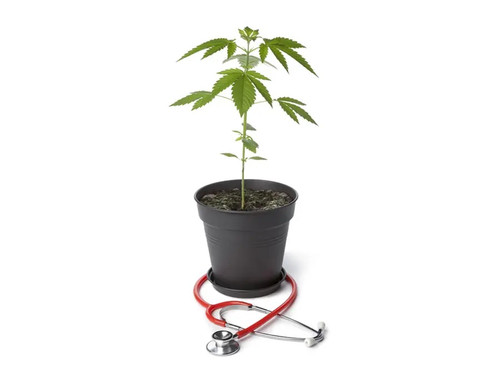 Get Rid of Health Issues by Medical Marijuana Treatment SmartLeaf Health Services.jpg