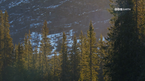 Wild.Scandinavia.S01E02.2023.1080p.Hami.WEB DL.H264.AAC HHWEB.mkv 20241122 145756.094.png