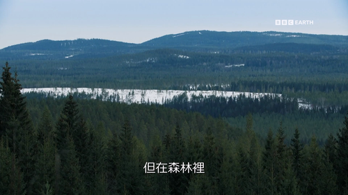 Wild.Scandinavia.S01E02.2023.1080p.Hami.WEB DL.H264.AAC HHWEB.mkv 20241122 145754.796.png