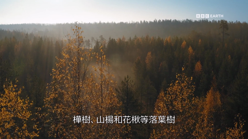 Wild.Scandinavia.S01E02.2023.1080p.Hami.WEB DL.H264.AAC HHWEB.mkv 20241122 145757.525.png