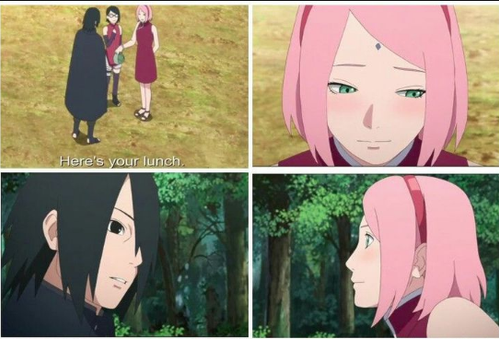 A Sarada NÃO É filha da Karin.  2796ow7.md