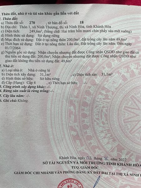 467223704 3002900713209110 3504812759578281877 n.jpg