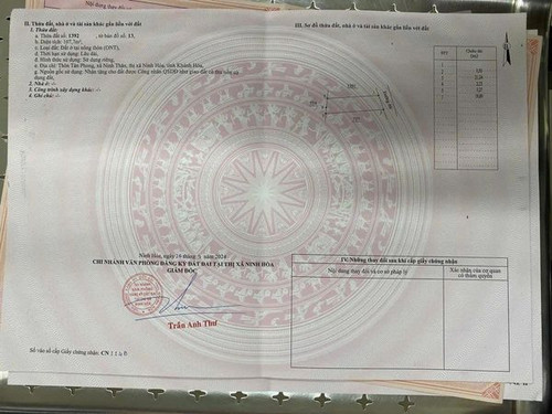 466863955 954284846568734 484541730919804846 n.jpg