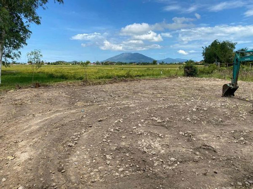 467238644 954284836568735 425160576369266817 n.jpg