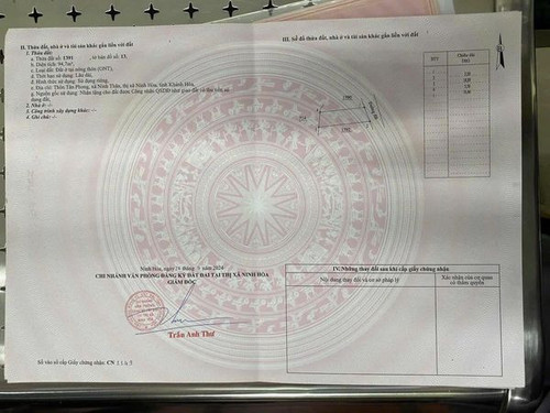 467394471 954284726568746 5889958823360388310 n.jpg