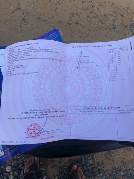 467330319 573517868607350 5040973031218035231 n.jpg