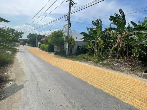 467393562 122119573646556963 6915682808672753670 n.jpg