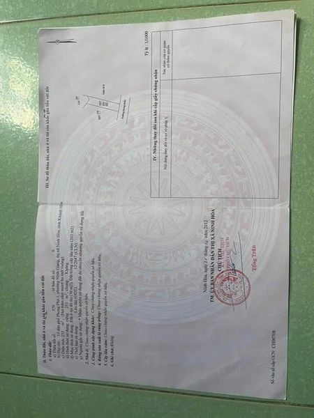 467528106 122119573814556963 6266591752095666896 n.jpg