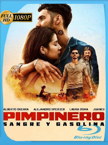 Pimpinero: Sangre Y Gasolina (2024) WEB-DL [1080p] Latino [GoogleDrive]