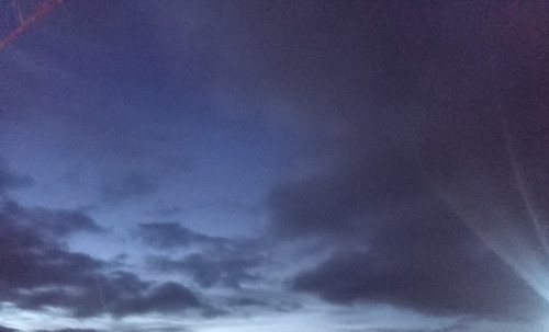 IMG 20241118 071917.jpg