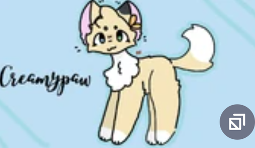 Screenshot 2024 11 21 11.17.41 AM