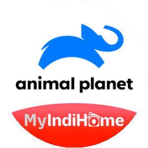 animalplanet.png