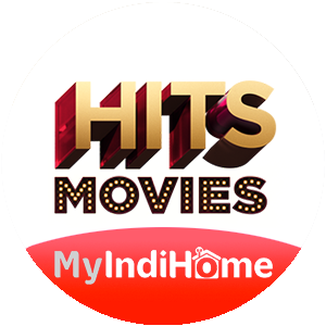 hitsmovies.png