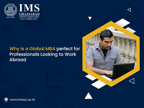 Why is a Global MBA Perfect for Professionals Looking to Work Abroad.jpg