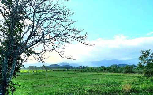 467524687 8202838573155122 792836845229448793 n.jpg