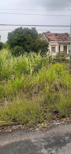 467568412 122121795728556963 1166617988098327898 n.jpg