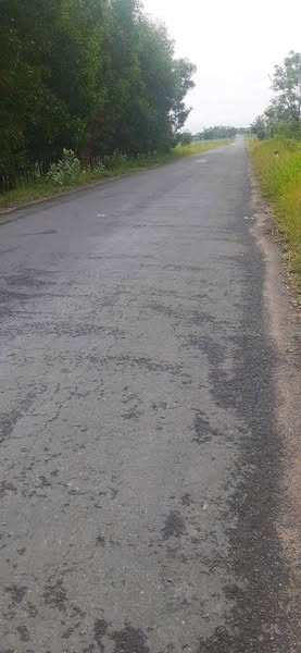 467477276 122121795686556963 2355027423586033827 n.jpg