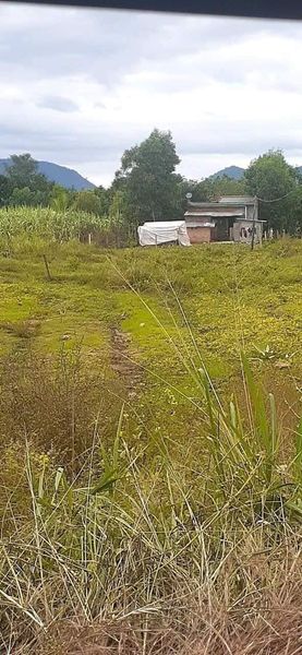 467582469 122121795638556963 171275522374453484 n.jpg