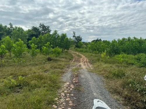 467526909 1003379671551810 5404305201524754189 n.jpg