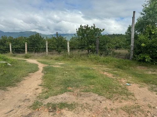 467595694 1003379674885143 7627712778085832730 n.jpg