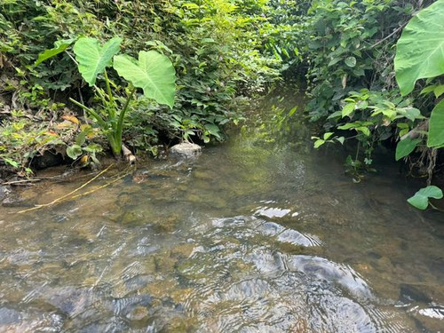 467549141 1003379738218470 7814316082912493111 n.jpg