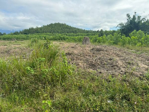 467717899 1003379661551811 1540638735005129678 n.jpg