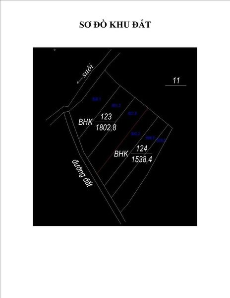 467697194 1003379721551805 7635334740602857349 n.jpg