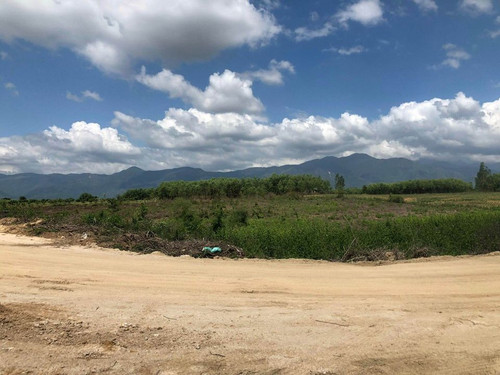 467853757 2908286929347785 6780318140490807233 n.jpg